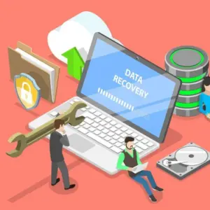 Data Recovery Attempt (Tier 1 Software)